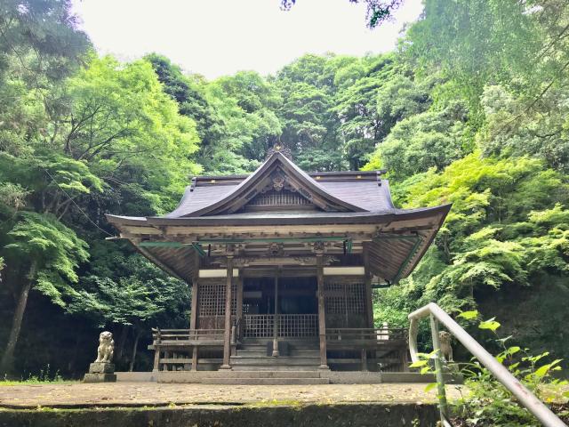兵庫県豊岡市日高町鶴岡字城山122 井田神社の写真1