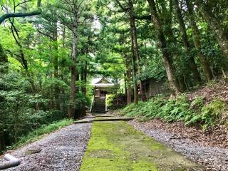井田神社の参拝記録(じゃすてぃさん)