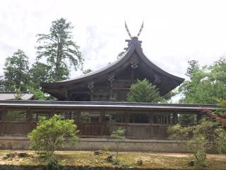 出石神社（一宮さん）の参拝記録(じゃすてぃさん)