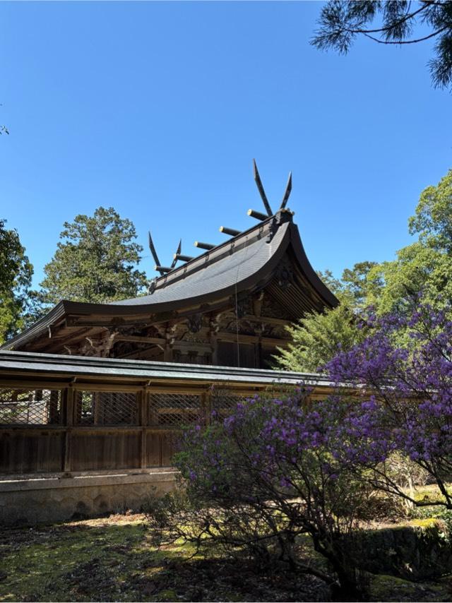 出石神社（一宮さん）の参拝記録10