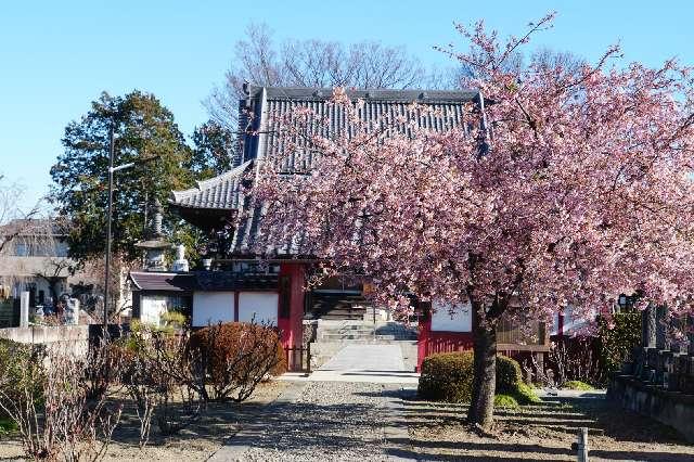 藤嶋山宝賢院大坊善台寺の参拝記録1