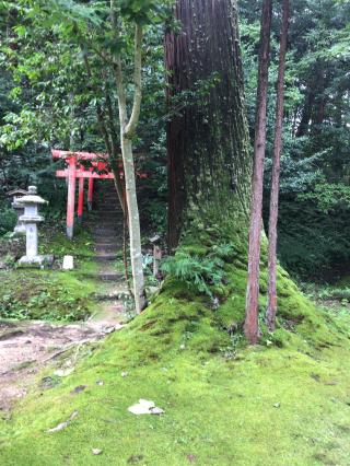 粟鹿神社の参拝記録(Crystalさん)