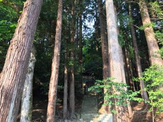 作田井神社の参拝記録(じゃすてぃさん)