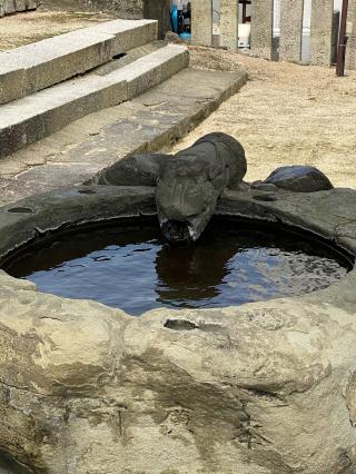 由良湊神社の参拝記録(さくらさん)