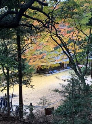 岩上神社の参拝記録(shunoshunoさん)