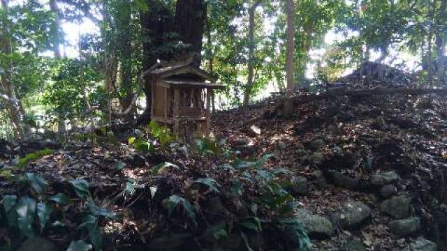 兵庫県洲本市五色町鮎原南谷562 河上神社の写真3