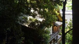 河上神社の参拝記録(天地悠久さん)
