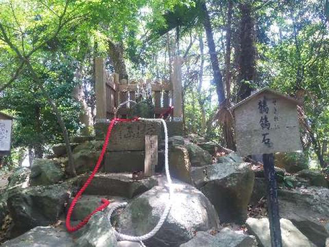 兵庫県南あわじ市榎列下幡多415 自凝島神社（おのころ島神社）の写真10