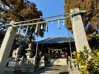 福良八幡神社の参拝記録(さくらさん)