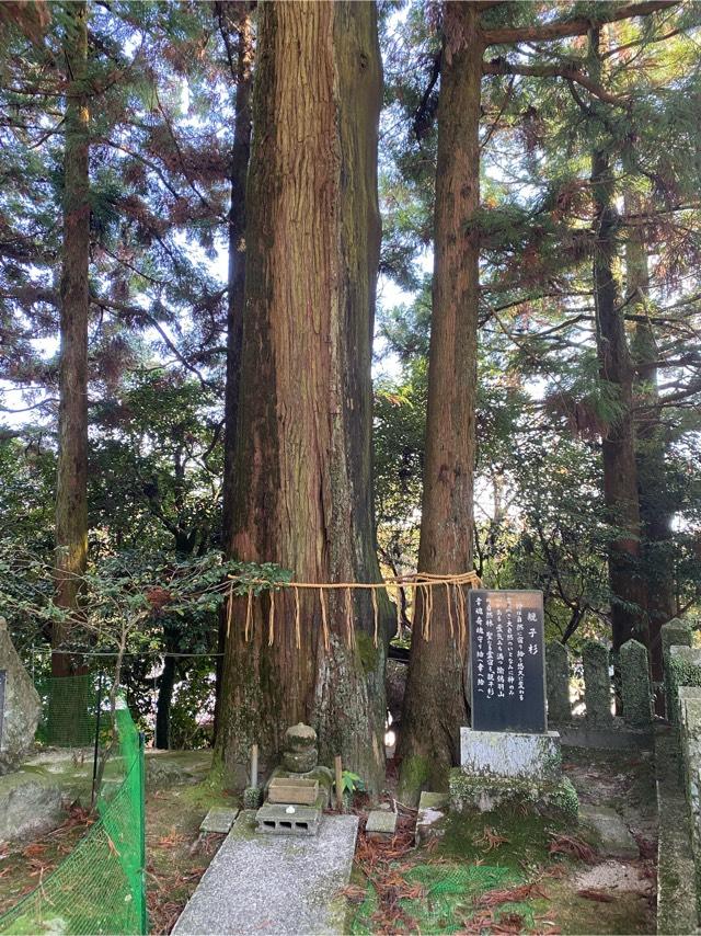 兵庫県南あわじ市灘黒岩472 諭鶴羽神社の写真7