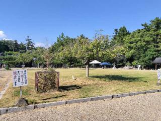 奈良県護国神社の参拝記録(さとみさん)