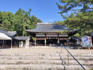 奈良県護国神社の参拝記録(さとみさん)