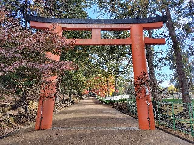 奈良県奈良市雑司町434 手向山八幡宮の写真5