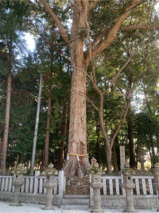 鴨都波神社の参拝記録(古事記追随さん)