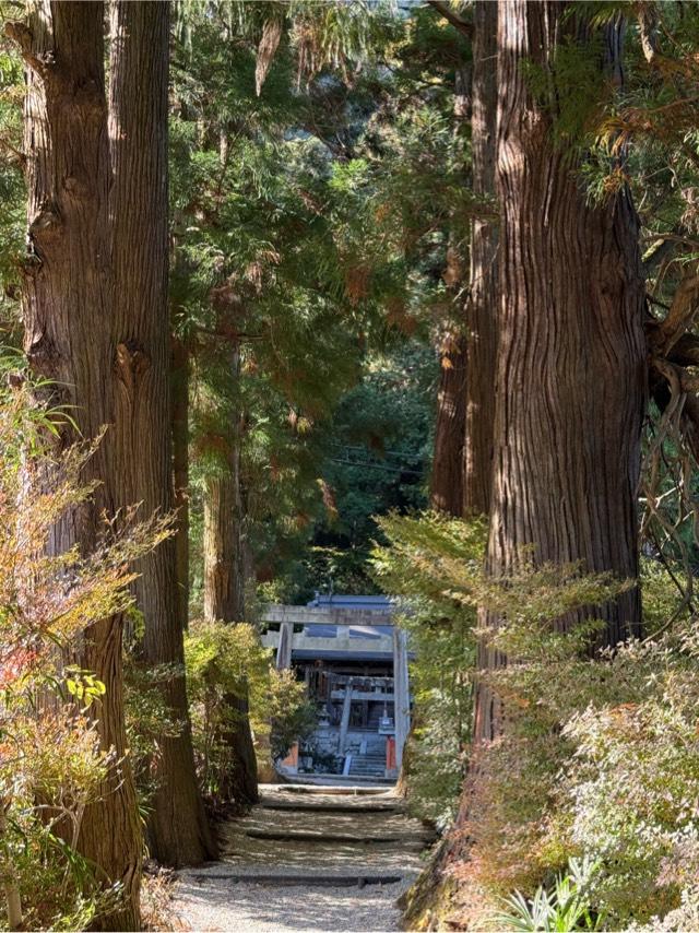 奈良県御所市高天 高天彦神社の写真9