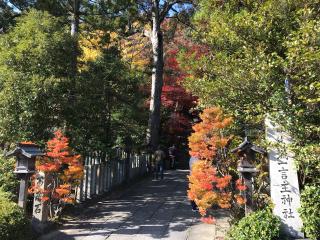 葛城一言主神社の参拝記録(じゃすてぃさん)