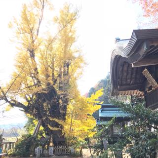 葛城一言主神社の参拝記録(じゃすてぃさん)