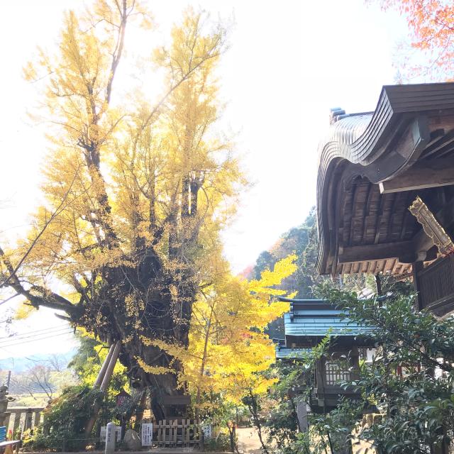 奈良県御所市森脇字角田432 葛城一言主神社の写真5