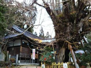 葛城一言主神社の参拝記録(天地悠久さん)