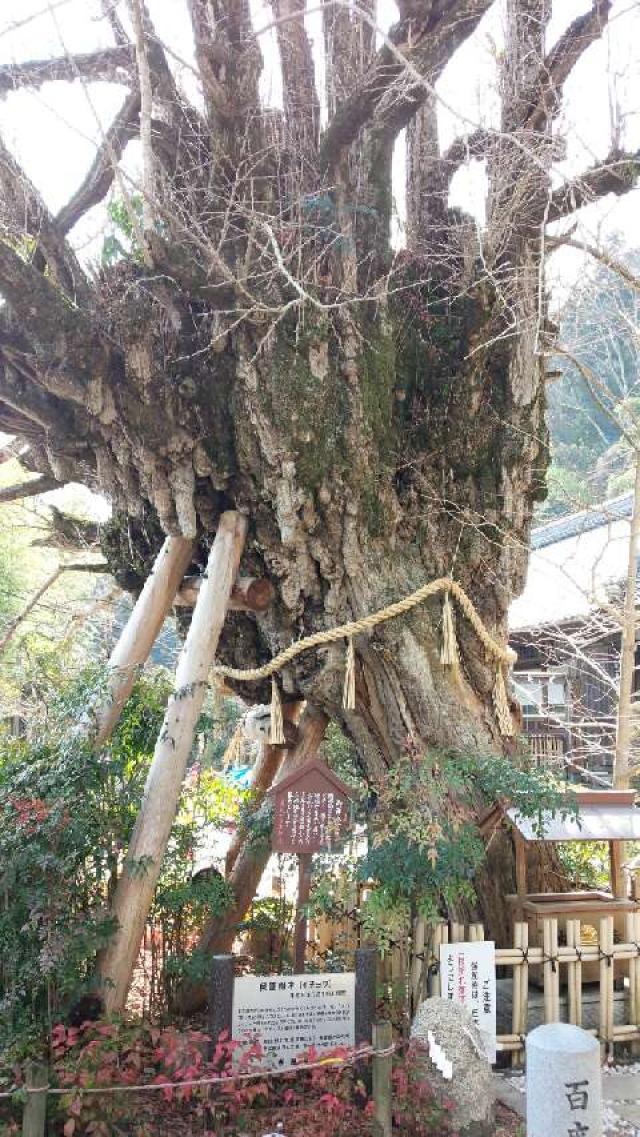 奈良県御所市森脇字角田432 葛城一言主神社の写真2