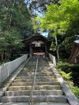 往馬坐伊古麻都比古神社(往馬大社)の参拝記録(ハシバさん)