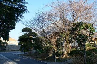 神林山仲藏院の参拝記録(thonglor17さん)