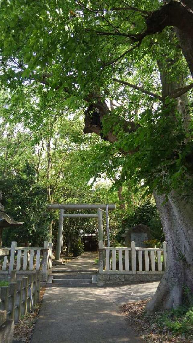 奈良県橿原市雲梯町689 河俣神社の写真1