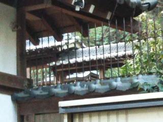 牟佐坐神社の参拝記録(天地悠久さん)