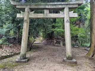 東大谷日女命神社の参拝記録(ロビンさん)