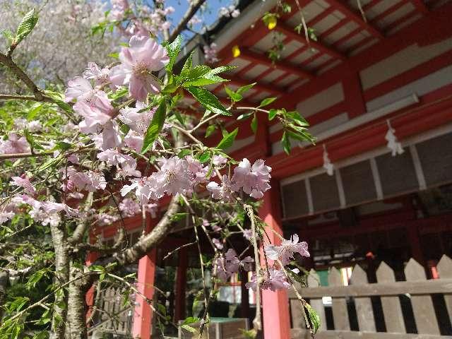 畝火山口神社の参拝記録3