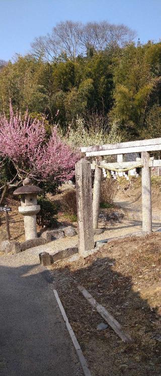 天岩戸神社の参拝記録(金太郎さん)