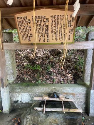 葛木倭文座天羽雷命神社の参拝記録(mmかずやmmさん)