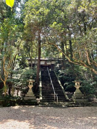 葛木倭文座天羽雷命神社の参拝記録(KUMIKOさん)