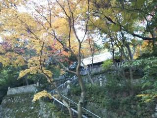 葛木坐火雷神社(笛吹神社)の参拝記録(天地悠久さん)