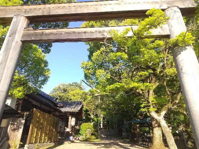 等彌神社の参拝記録9