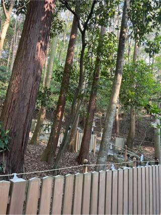 磐座神社（大神神社摂社）の参拝記録(⛩️🐍🐢まめ🐢🐍⛩️さん)