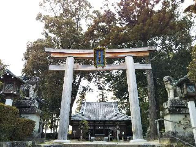 奈良県桜井市三輪177 大直禰子神社(若宮社)の写真2
