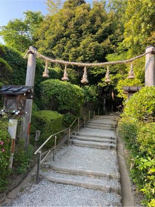 狭井坐大神荒魂神社 (狭井神社)の参拝記録(⛩️🐍🐢まめ🐢🐍⛩️さん)