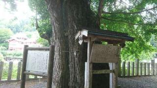 素盞雄神社の参拝記録(yukiさん)