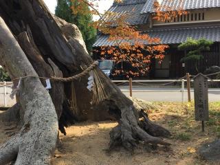 三輪神社の参拝記録(すったもんださん)