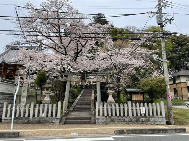 若櫻神社の参拝記録5