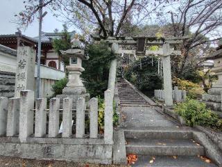 若櫻神社の参拝記録(ロビンさん)