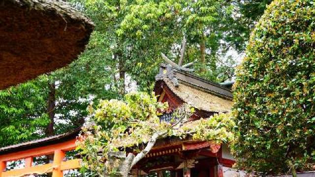 夜都岐神社の参拝記録6
