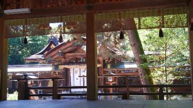 奈良県天理市新泉町306 大和神社（大和坐大国魂神社）の写真2