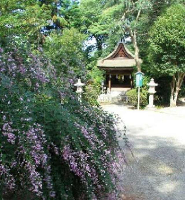 奈良県天理市新泉町306 大和神社（大和坐大国魂神社）の写真5