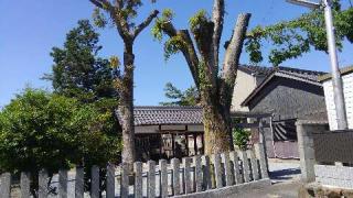 渟名城入姫神社(大和神社 境外末社)の参拝記録(天地悠久さん)