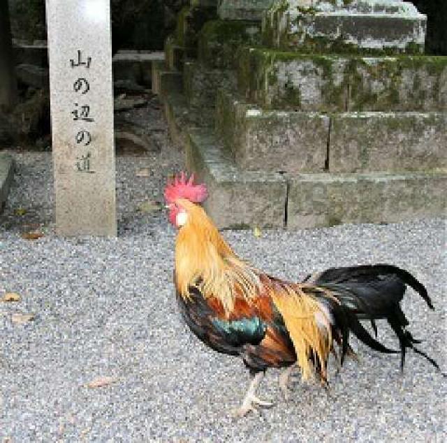 奈良県天理市布留町384 石上神宮の写真2