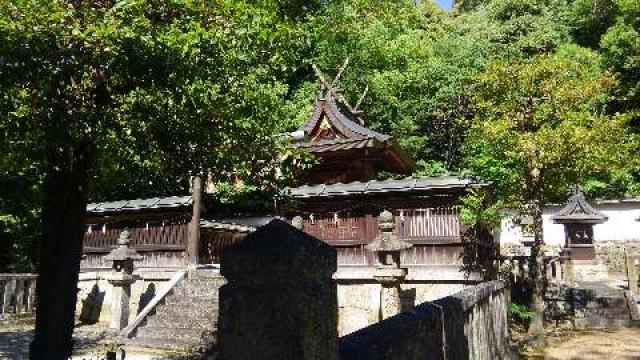 奈良県天理市柳本町1899 伊射奈岐神社(天理)の写真1