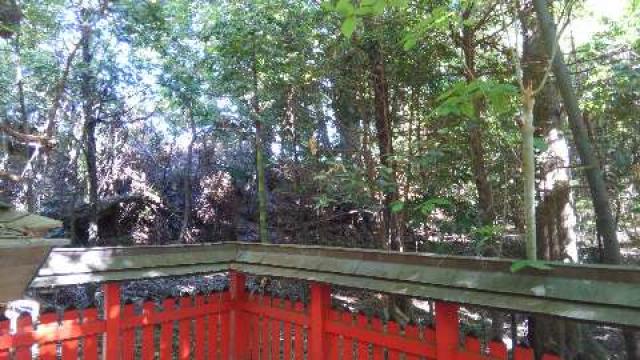 奈良県天理市柳本町1899 伊射奈岐神社(天理)の写真4