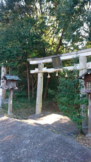 伊射奈岐神社(天理)の参拝記録(きるひあいすさん)